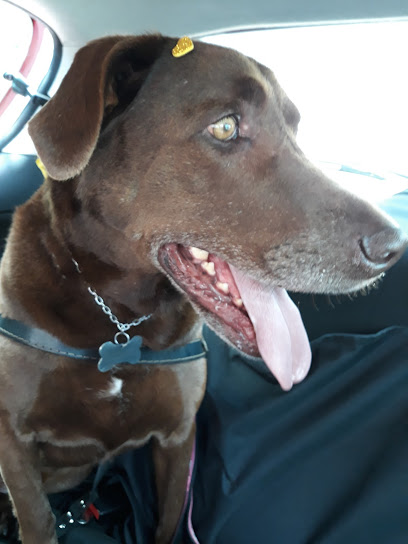 Nugvet Clínica Veterinária em Curitiba - PR