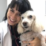 Imagem ilustrativa da empresa Onco Therapy Oncologia Veterinária em Nova Iguaçu - RJ