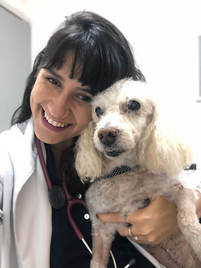 Onco Therapy Oncologia Veterinária em Nova Iguaçu - RJ