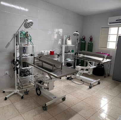 Operação Animal - Equipe de Castração - Veterinário em Campinas - SP