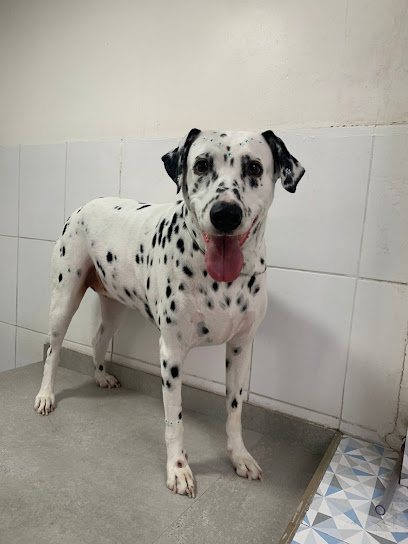 Imagem ilustrativa da empresa Panpet Clínica Veterinária em Guarulhos - SP