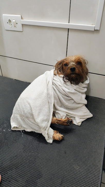 ParCão Clínica Veterinária Banho e tosa Curitiba em Curitiba - PR