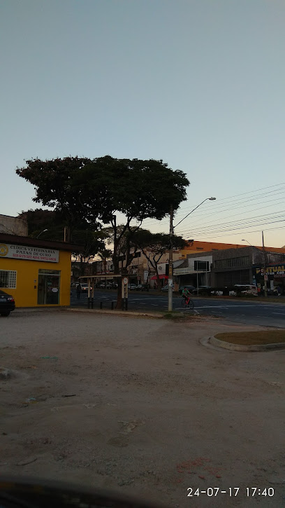 Patas de Ouro - Veterinário em Sorocaba - SP