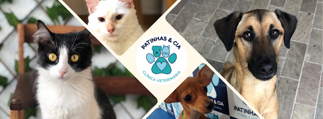 Patinhas & cia clínica veterinária em Maceió - AL