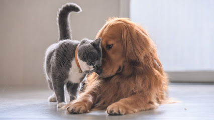 Imagem ilustrativa da empresa Pedigree Clínica Veterinária em Porto Alegre - RS