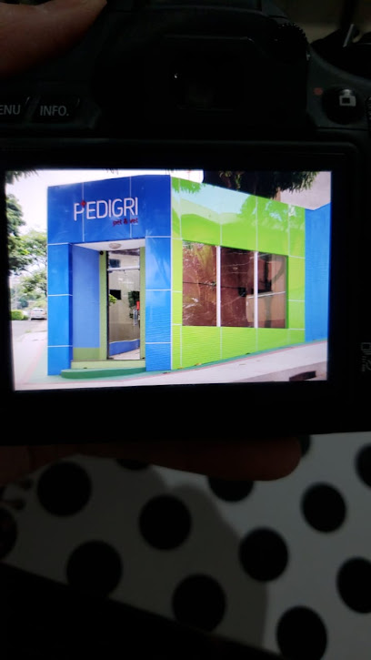 Imagem ilustrativa da empresa Pedigri Clínica Veterinária em Belo Horizonte - MG