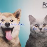 Imagem ilustrativa da empresa Pet Care Hospital Veterinário - Unidade Ibirapuera em São Paulo - SP