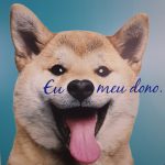 Imagem ilustrativa da empresa Pet Care Hospital Veterinário - Unidade Morumbi em São Paulo - SP