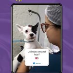Imagem ilustrativa da empresa PET DAY VETERINÁRIA e ESTÉTICA ANIMAL em Maceió - AL