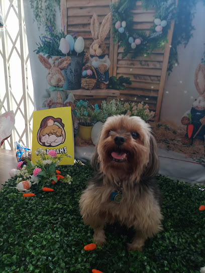 Imagem ilustrativa da empresa Pet Dreams | Anita Garibaldi - Veterinário em Porto Alegre - RS