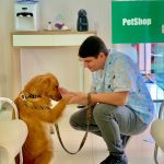 Imagem ilustrativa da empresa Pet Health Clínica Veterinária em Campo Grande - MS