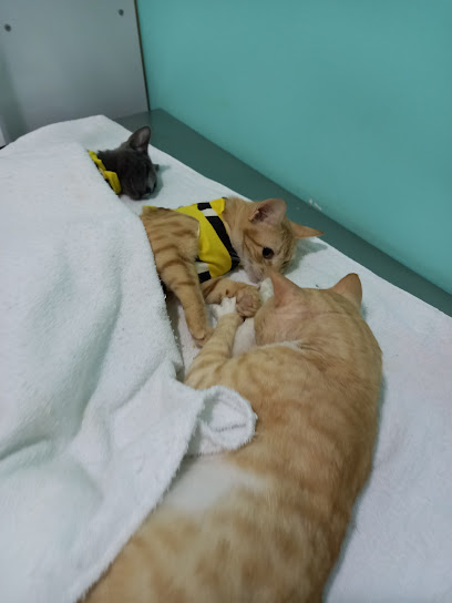 Pet Saúde Clínica Veterinária em Maceió - AL