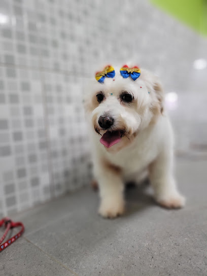 Pet Vetz - Clínica Veterinária e Estética Animal em Guarulhos - SP
