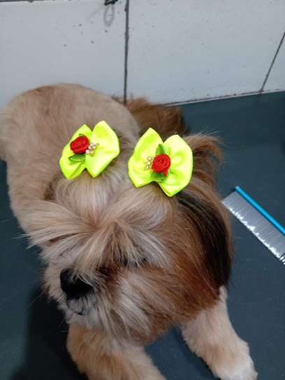 Pet Vip Clínica e Pet Shop - Veterinário em Goiânia - GO
