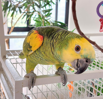 Pet Zoo Clínica Veterinária especializada em animais silvestres e exóticos em Salvador - BA