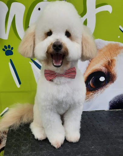 PETBEM CLÍNICA VETERINÁRIA em Recife - PE