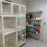 Imagem ilustrativa da empresa PetCare Clínica Veterinária em Recife - PE