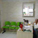 Imagem ilustrativa da empresa Pets e Silvestres - Veterinário em Maceió - AL