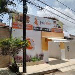 Imagem ilustrativa da empresa Pets Home Veterinária em São Luís - MA