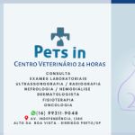 Imagem ilustrativa da empresa Pets in - Veterinário em Ribeirão Preto - SP