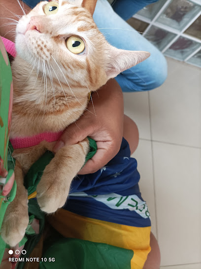 Pets & Vets Consultório Veterinário em Salvador - BA