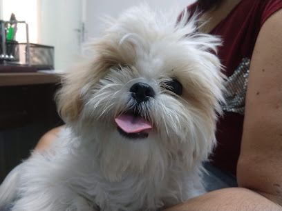 Petsaúde Campinas - Clínica Veterinária em Campinas - SP