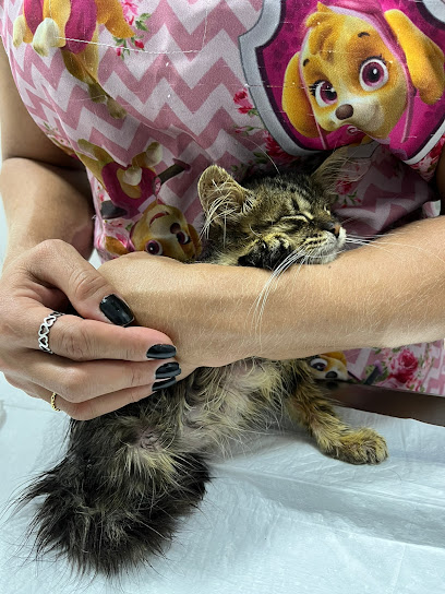Planeta Pets Goiânia Clínica Veterinária 24hs, Cirurgia, Intemação, Castração, Ortopedista Veterinária, Exames para Animais em Goiânia - GO