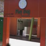 Imagem ilustrativa da empresa Play Dog Veterinária em Belo Horizonte - MG