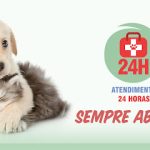 Imagem ilustrativa da empresa POA PETCARE 24H - Veterinário em Porto Alegre - RS