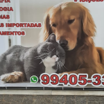 Imagem ilustrativa da empresa Ponto do Cão + Gato Clínica Veterinária em Porto Alegre - RS
