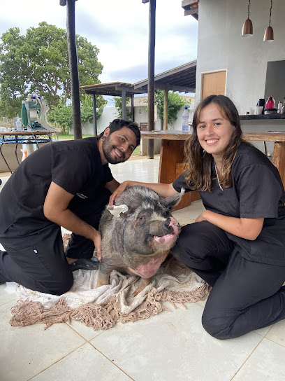 Pró Exotics - Medicina de pets não convencionais (Exóticos e Silvestres) - Veterinário em Campo Grande - MS