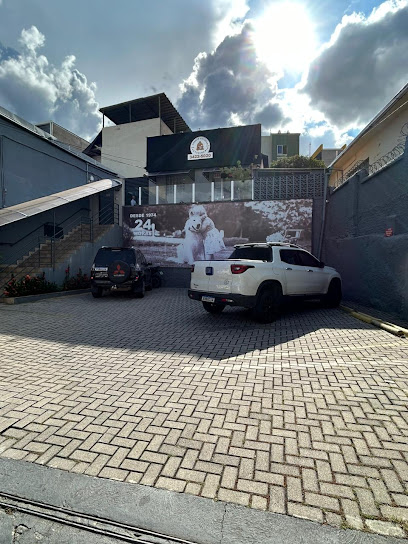 Imagem ilustrativa da empresa Pronto Socorro Veterinário 24 Horas em Belo Horizonte - MG