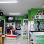 Imagem ilustrativa da empresa Prontoclínica Veterinária em São Luís - MA