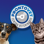 Imagem ilustrativa da empresa Prontovet Centro Veterinário em Campo Grande - MS