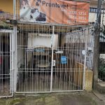Imagem ilustrativa da empresa Prontovet Consultório Veterinário em Porto Alegre - RS