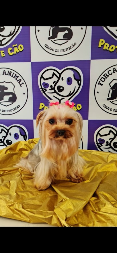 ProteCão Clínica Veterinária em Curitiba - PR