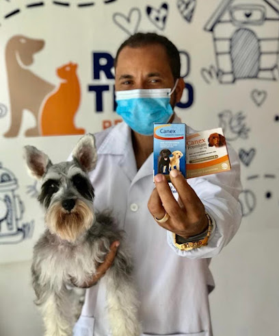 Rei do trato Clínica Veterinária e Petshop em Maceió - AL