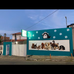 Imagem ilustrativa da empresa RENAL VETERINÁRIA em Salvador - BA