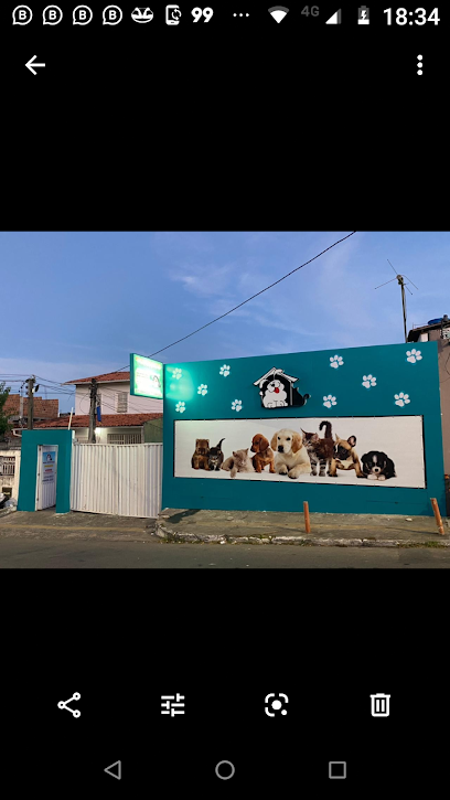 RENAL VETERINÁRIA em Salvador - BA
