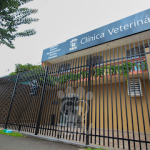 Imagem ilustrativa da empresa RMV Clínica Veterinária em Curitiba - PR