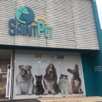 Imagem ilustrativa da empresa Saint Pet - Veterinário em Campo Grande - MS