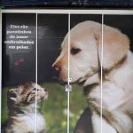 Imagem ilustrativa da empresa Santa Helena Veterinária em Fortaleza - CE