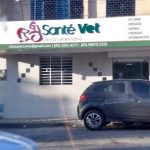 Imagem ilustrativa da empresa Santé Vet Clínica e Cirurgia Veterinária em Fortaleza - CE