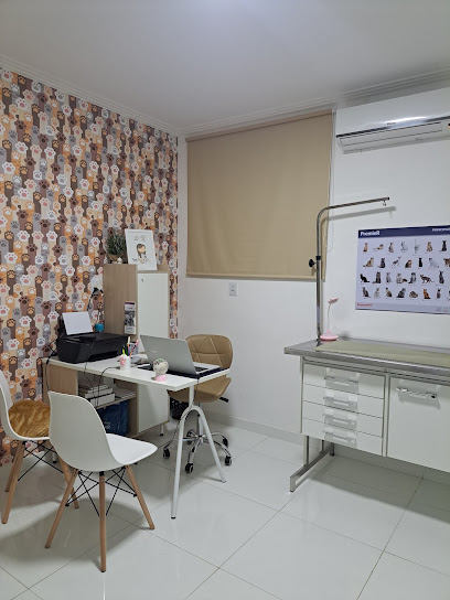 São Bernardo - Veterinário em Salvador - BA