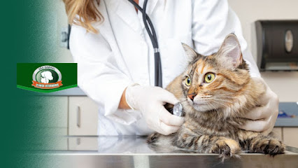 São Gabriel Clínica Veterinária | Guarulhos em Guarulhos - SP