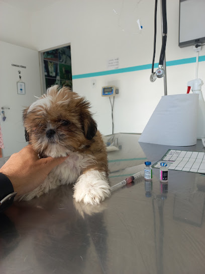 Saúde Animal Dr. Marcelo F. Valeriote - Veterinário em Osasco - SP