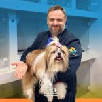 Imagem ilustrativa da empresa Saúde Animal - Nova Iguaçu - Veterinário em Nova Iguaçu - RJ