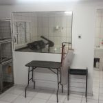 Imagem ilustrativa da empresa S.AU.S Clínica Veterinária em Curitiba - PR