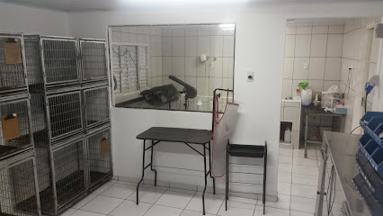 S.AU.S Clínica Veterinária em Curitiba - PR