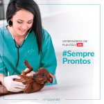 Imagem ilustrativa da empresa SaveVet - Centro Veterinário 24h - ZONA NORTE - JD SÃO PAULO em São Paulo - SP